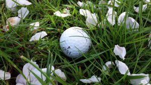 Ein GENAPLAN Golfball liegt im hohen Gras